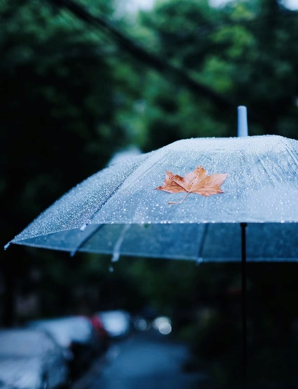 趙子涵 詩歌——《秋雨》