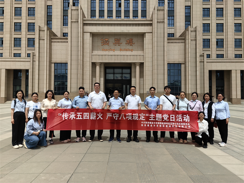 灃京公司黨支部開展“傳承五四薪火 強化作風(fēng)建設(shè)”主題黨日活動01.png