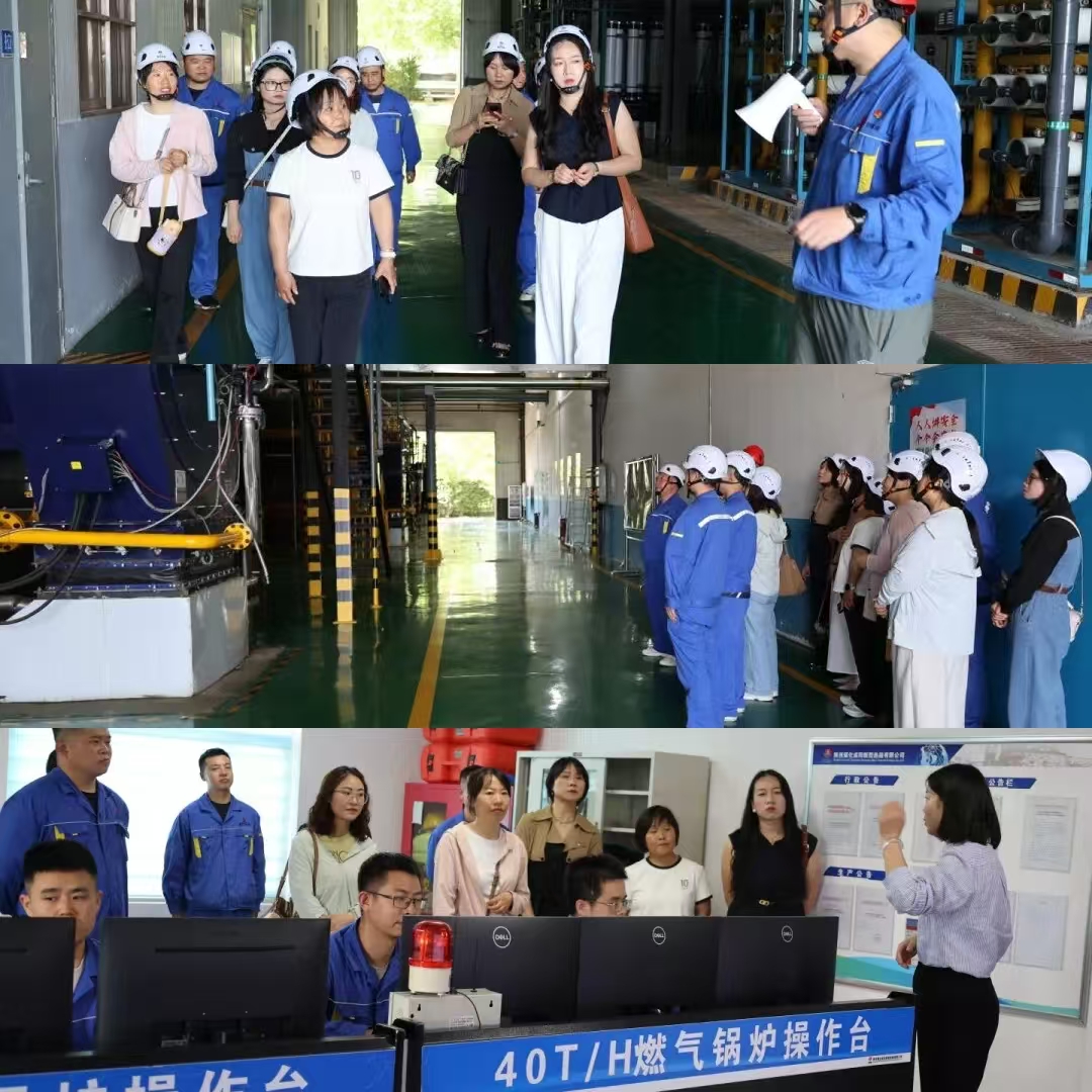 a4799c1c1afd2fda7529f883510ef9c4.jpg